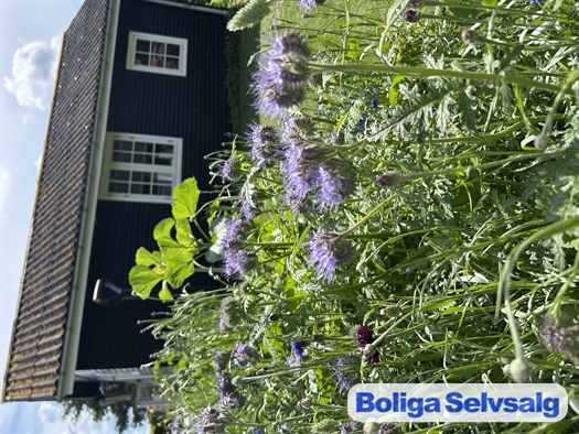 Dådyrvej 7, 4571 Grevinge