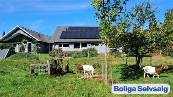 Kokær 6, 8800 Viborg