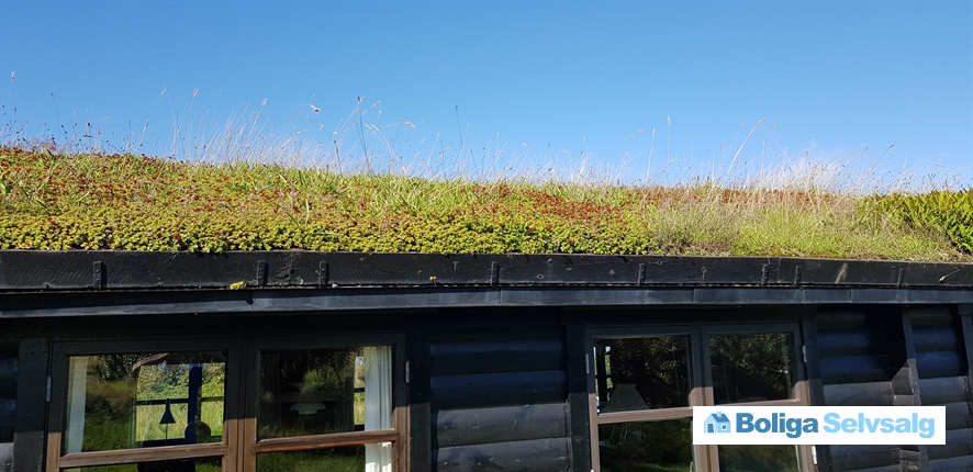 Vestre Strandvej 53A, Landborup, 8420 Knebel