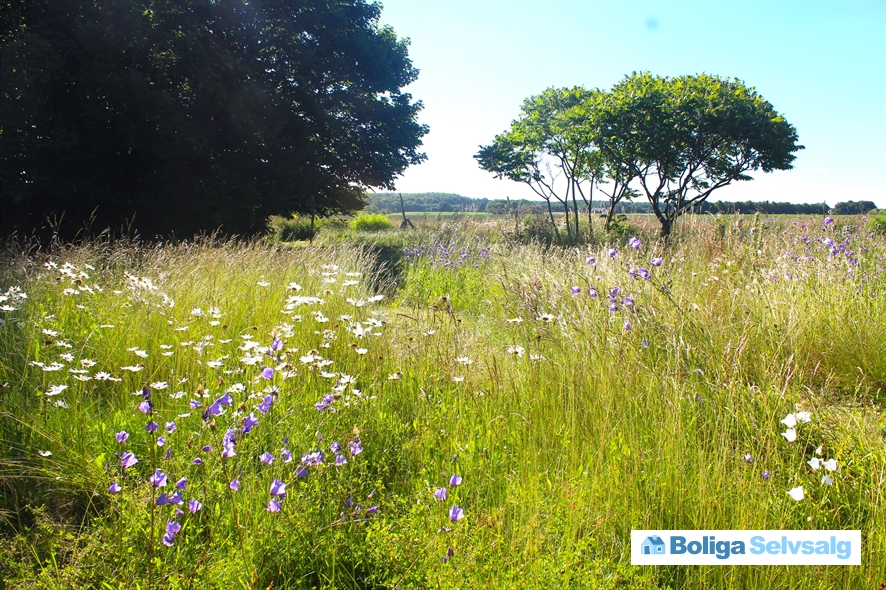 Lynge Byvej 32, 4180 Sorø