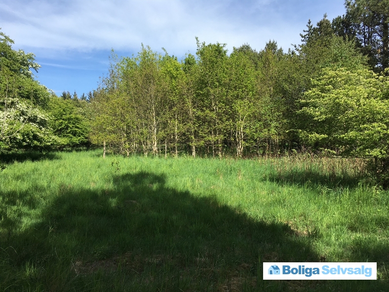 Smalby Hedevej 25,33,39, 9340 Asaa