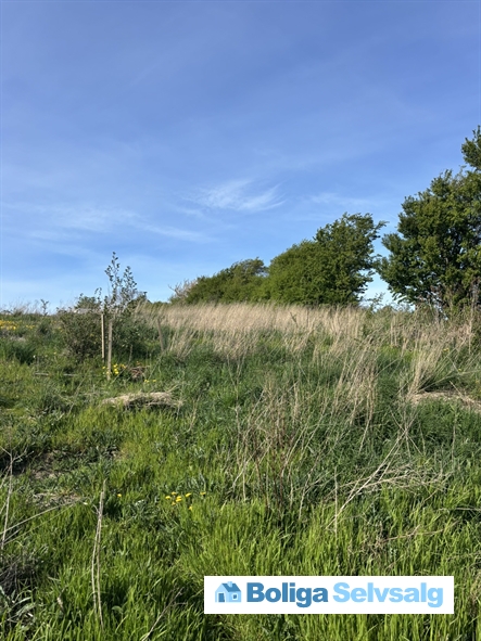 Egeskoven 28, 4500 Nykøbing Sj.