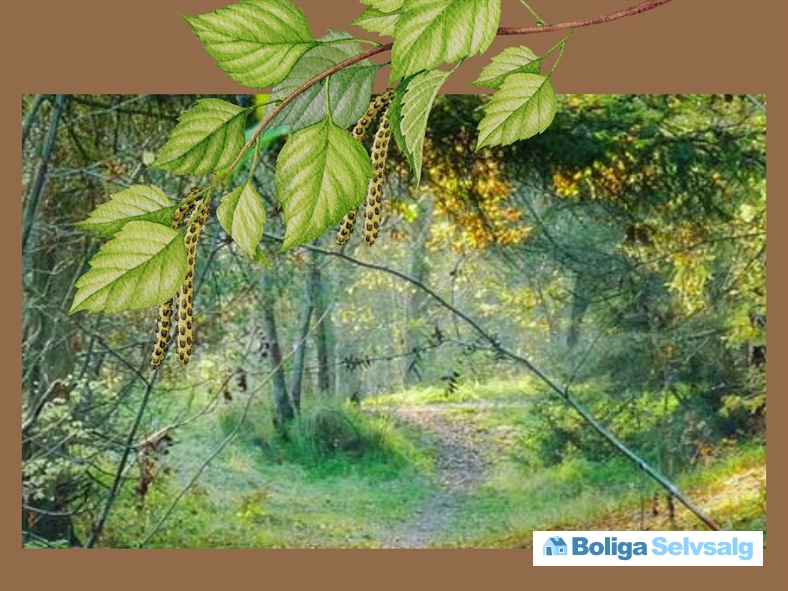Engparken 54 ., 2690 Karlslunde