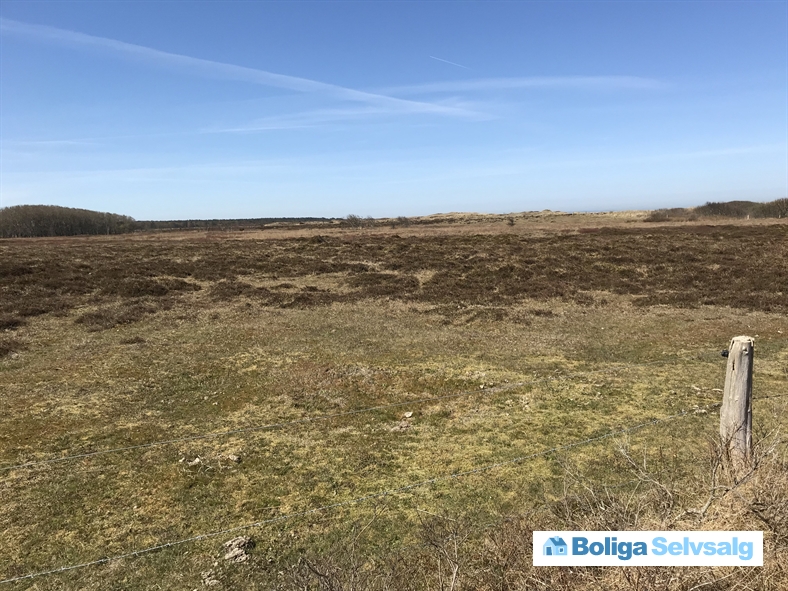 Den Store Jolle 8, 9940 Læsø