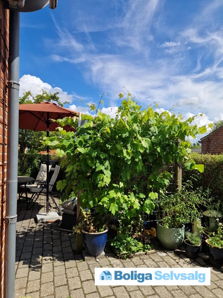 Åkandevej 56 ., 4600 Køge