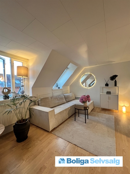 Skt. Knuds Gade 50, 2. ., 5000 Odense C
