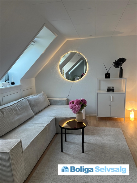 Skt. Knuds Gade 50, 2. ., 5000 Odense C