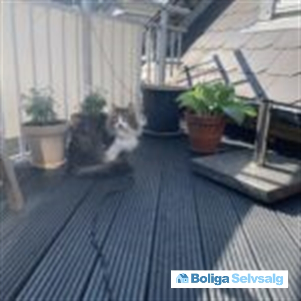 Ågade 108, 5. th., 2200 København N