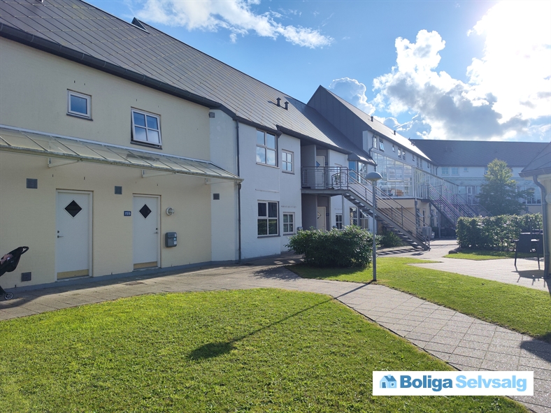 Blommegrenen 159, st., 5220 Odense SØ
