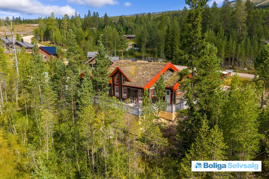 Högbäcksvägen 45, Lofsdalen, Sverige