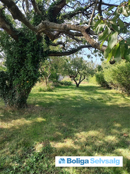 Bundgårdsballe 40, Nørreby, 5400 Bogense
