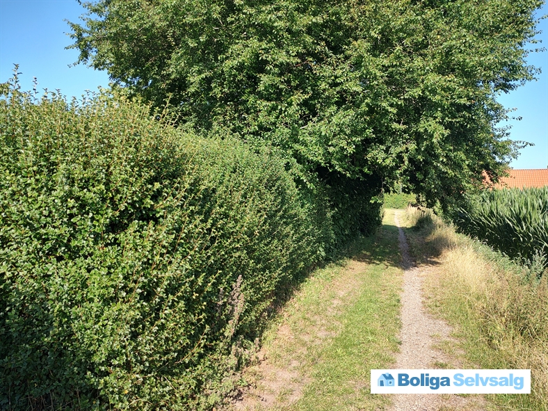 Bundgårdsballe 40, Nørreby, 5400 Bogense