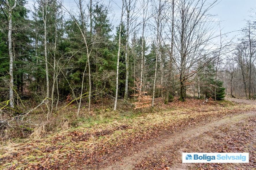 Bäverspåret 1 1, Stavaröd, Sverige