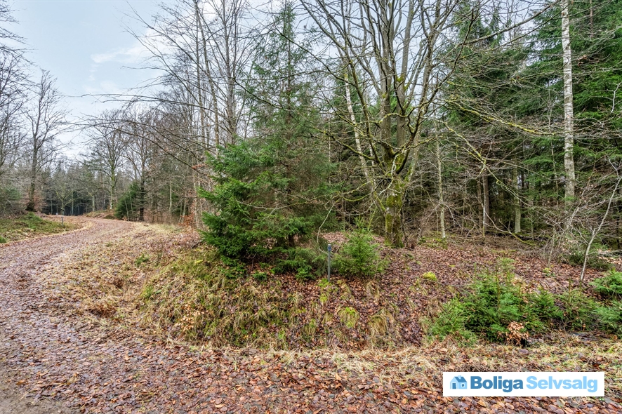 Bäverspåret 1 1, Stavaröd, Sverige