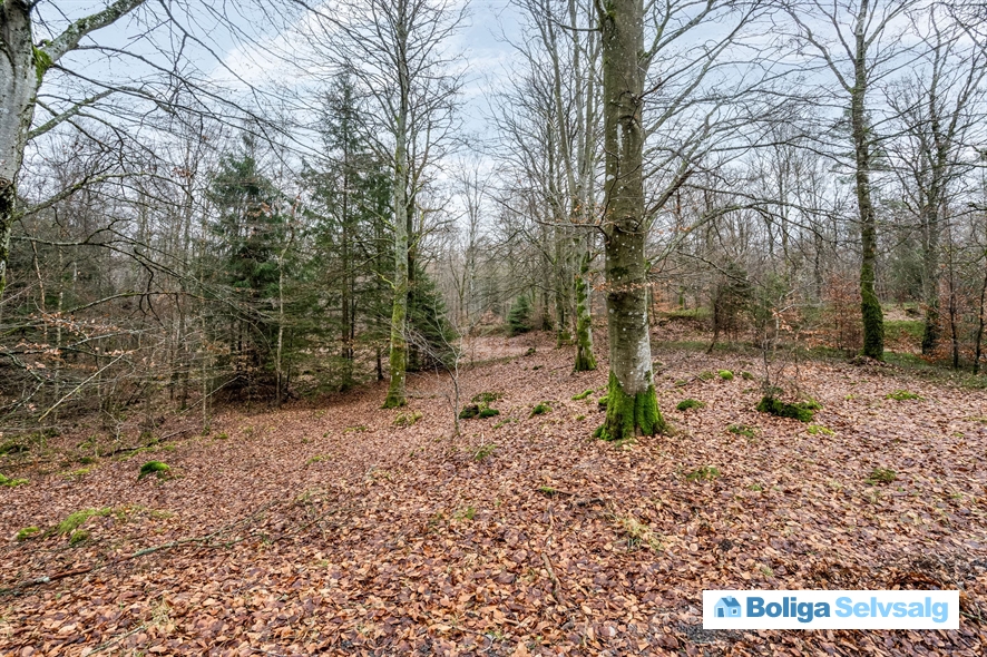 Bäverspåret 1 1, Stavaröd, Sverige