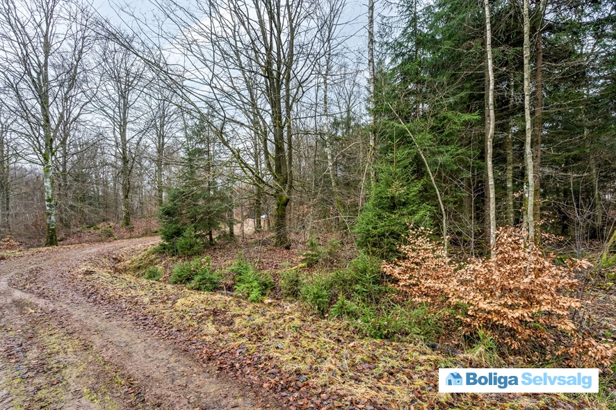 Bäverspåret 1 1, Stavaröd, Sverige