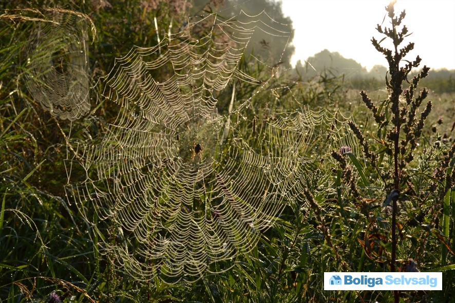 Fyrrevej 22, Lammefjorden, 4571 Grevinge