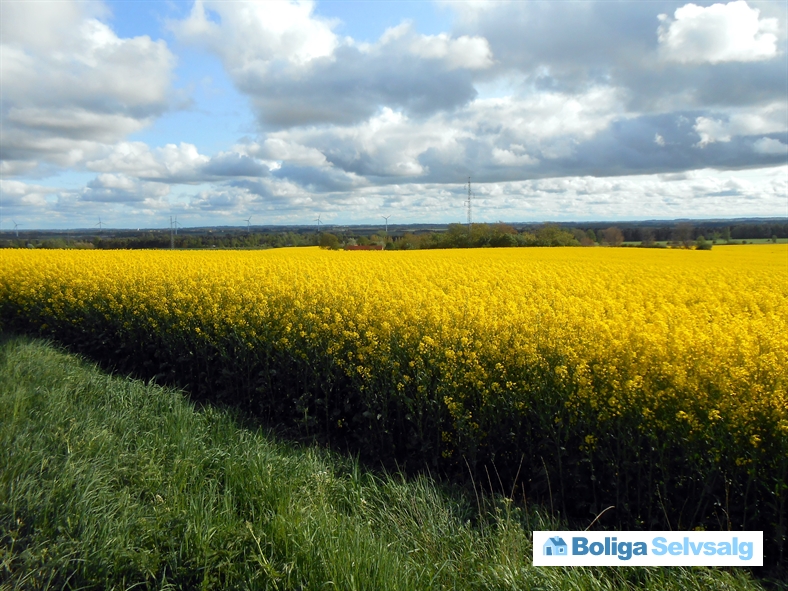 Fyrrevej 22, Lammefjorden, 4571 Grevinge