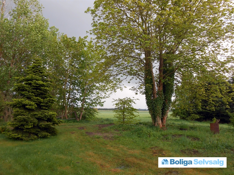 Fyrrevej 22, Lammefjorden, 4571 Grevinge