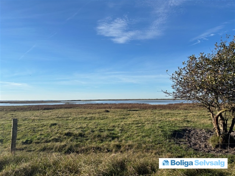 Skovvangen 50, Ellinge Lyng, 4573 Højby