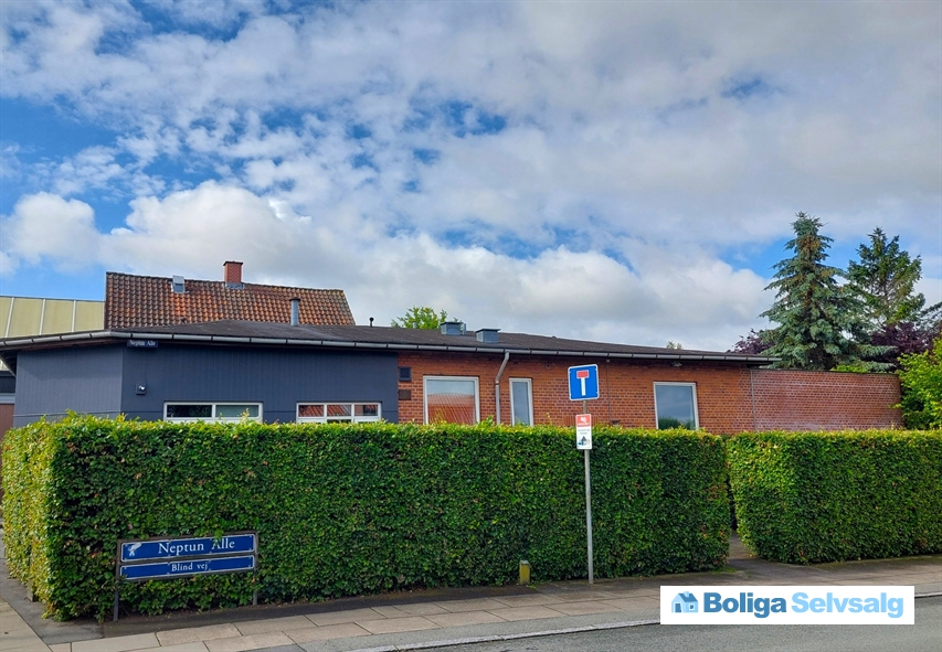 Neptun Alle 1, 2770 Kastrup