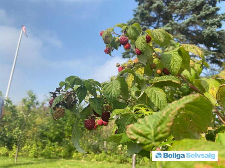 Dahliavej 52, 2610 Rødovre