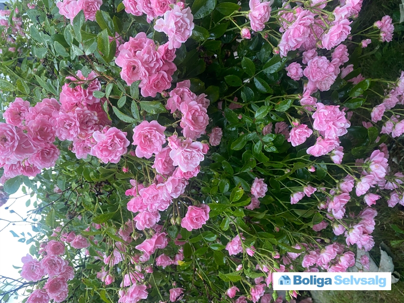 Dahliavej 52, 2610 Rødovre