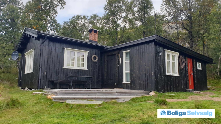 Holvik Vestre 5, 1., Rauland, Norge