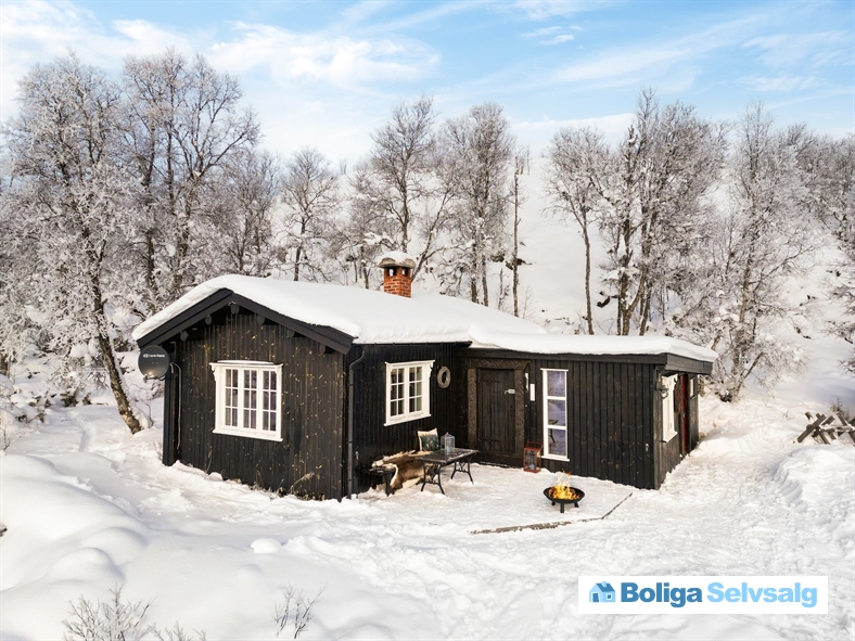 Holvik Vestre 5, 1., Rauland, Norge