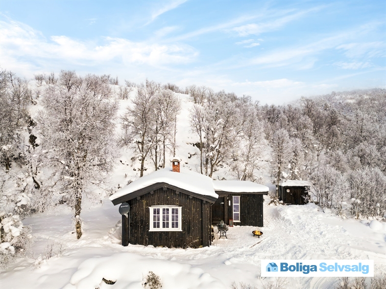 Holvik Vestre 5, 1., Rauland, Norge