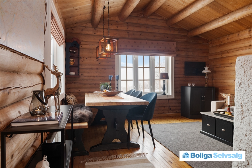 Holvik Vestre 5, 1., Rauland, Norge