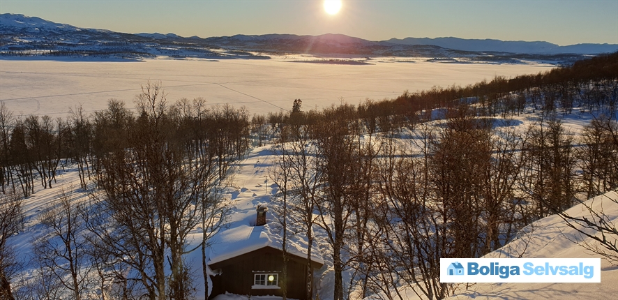 Holvik Vestre 5, 1., Rauland, Norge