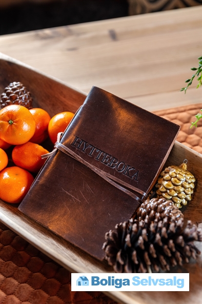 Holvik Vestre 5, 1., Rauland, Norge