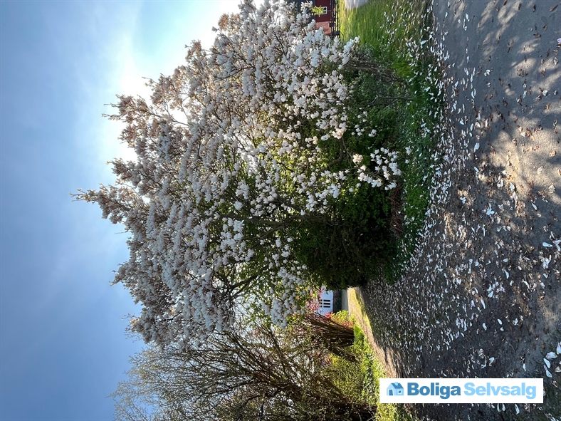 Trekanten 8, 3720 Aakirkeby