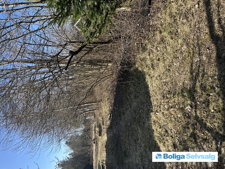 Vagtelvej 8, 9370 Hals