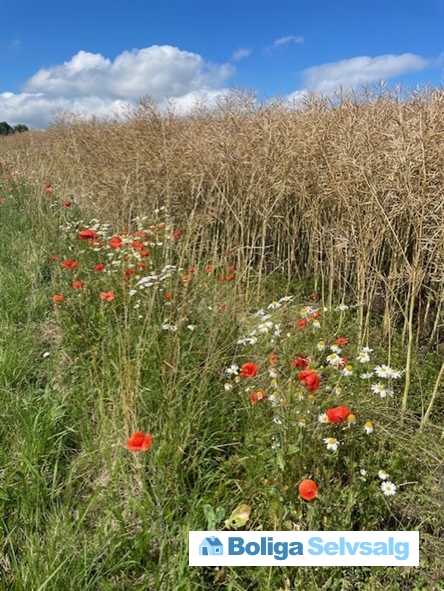 Tofthøjvej 9, 4305 Orø