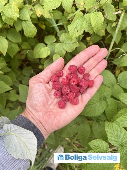 Lyngmosevej 11, 9900 Frederikshavn