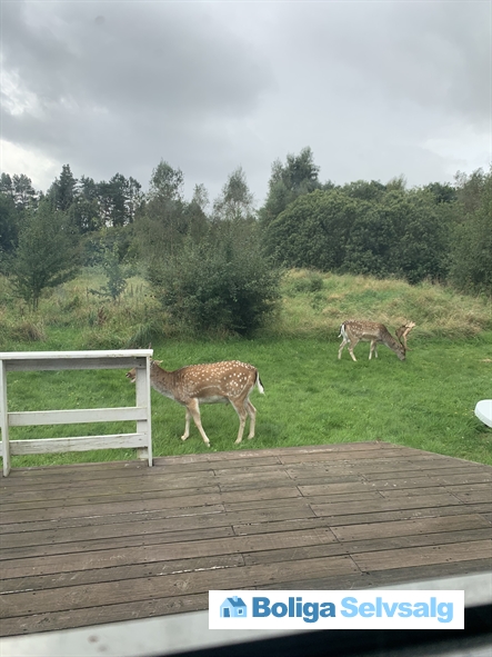 Rimmen 20, 9340 Asaa