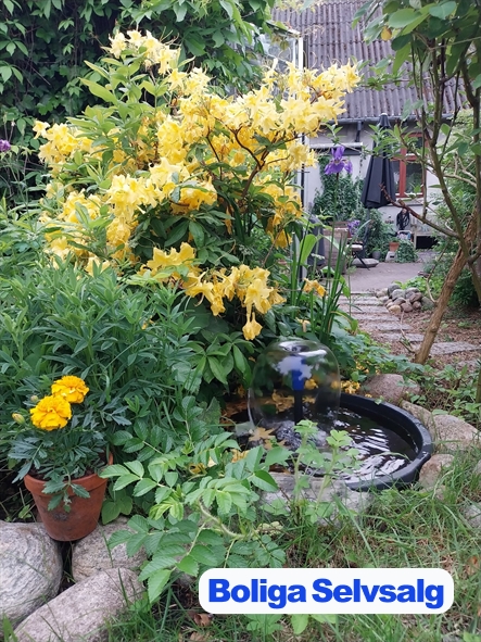 Plantegning